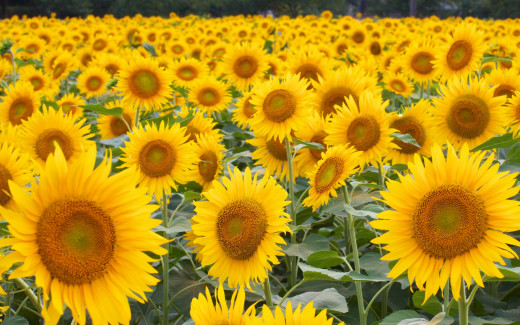 664886 (a): :1920x1200